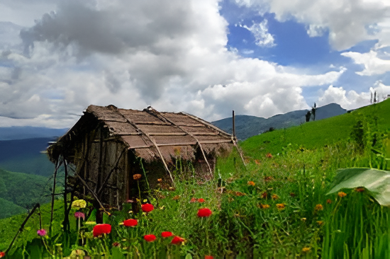 Mizoram